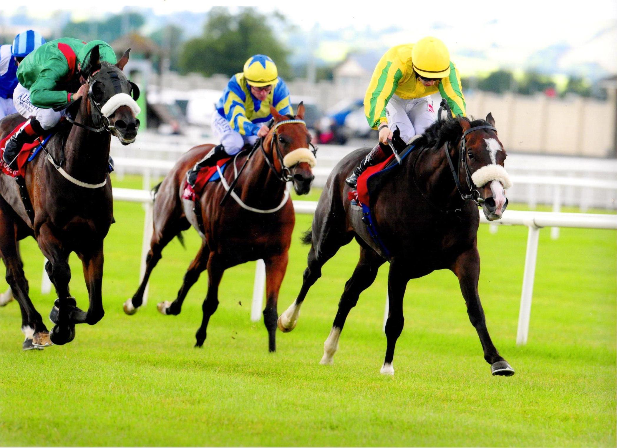 SEA WOLF stays on well to land the Tote Irish Cambridgeshire at The Curragh 28th August 2016